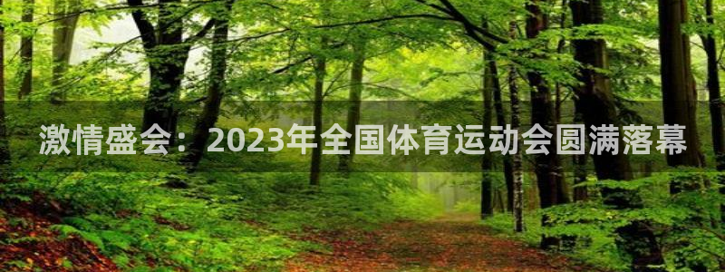 球王会体育：激情盛会：2023年全国体育运动会圆满落幕