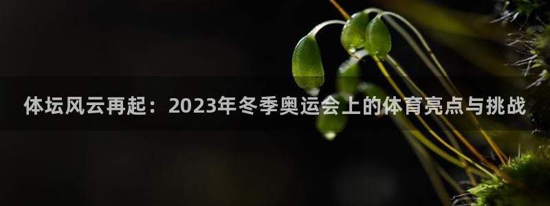 球王会体育：体坛风云再起：2023年冬季奥运会上的体育亮点与挑战
