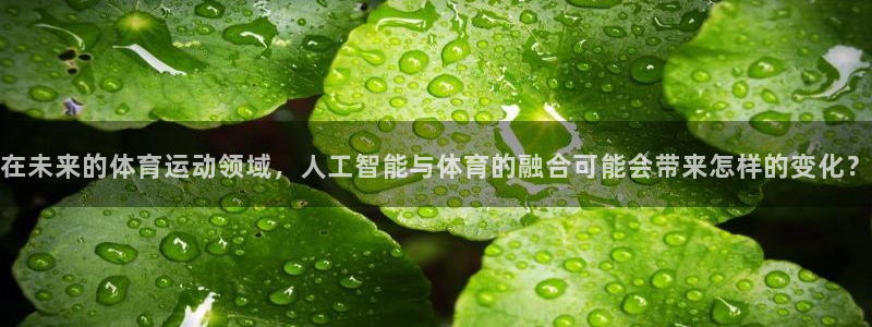 球王会体育：在未来的体育运动领域，人工智能与体育的融合可能会带来怎样的变化？