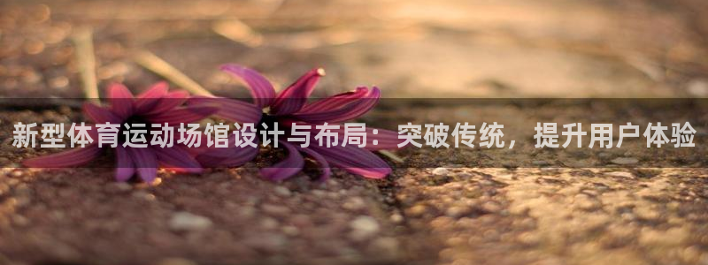 球王会体育：新型体育运动场馆设计与布局：突破传统，提升用户体验