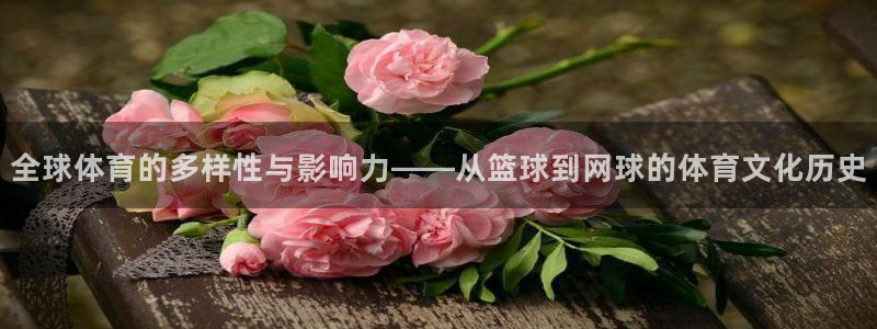球王会体育：全球体育的多样性与影响力——从篮球到网球的体育文化历史