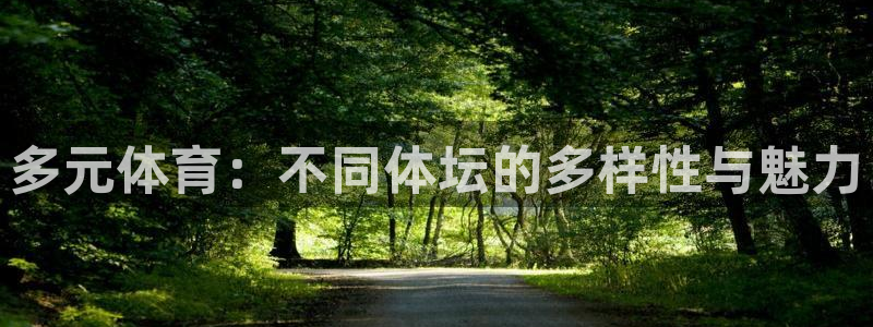球王会体育：多元体育：不同体坛的多样性与魅力
