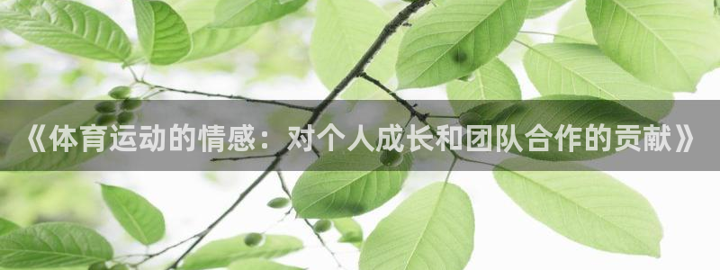 球王会体育：《体育运动的情感：对个人成长和团队合作的贡献》